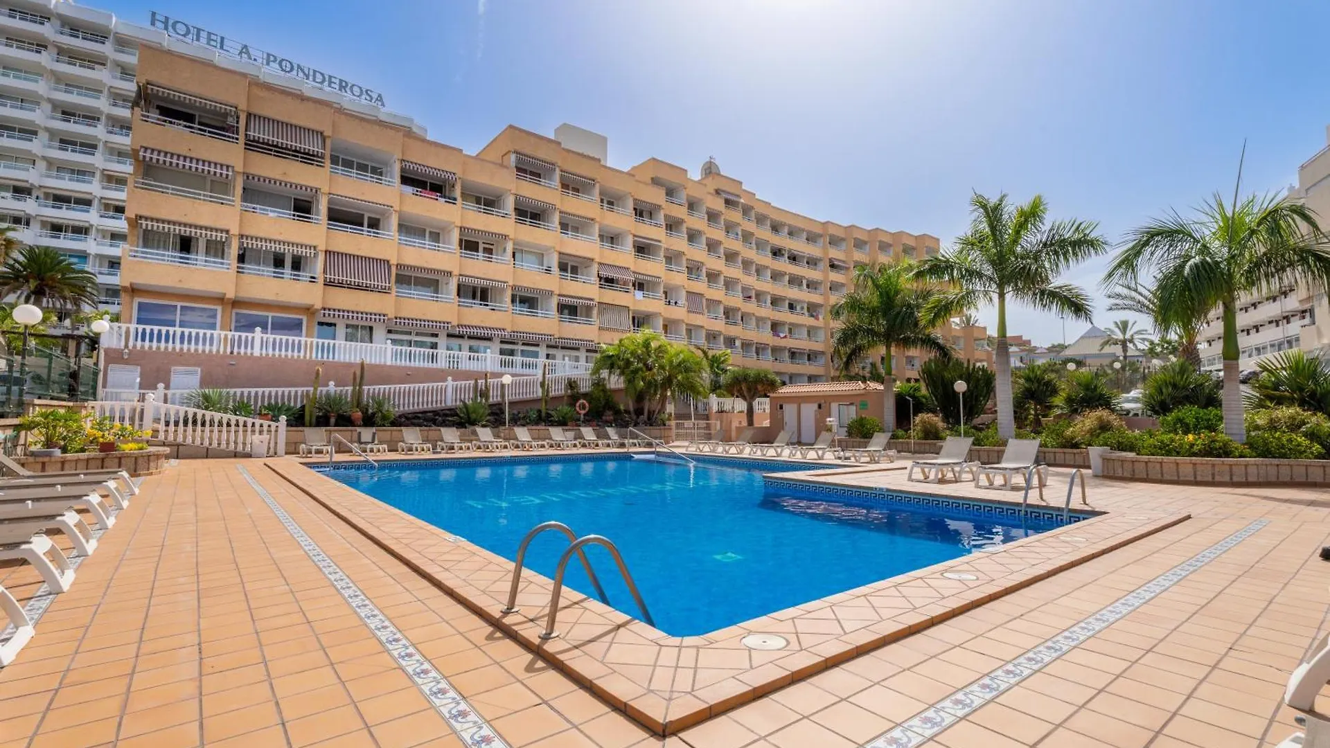 Apartamentos Borinquen contacts